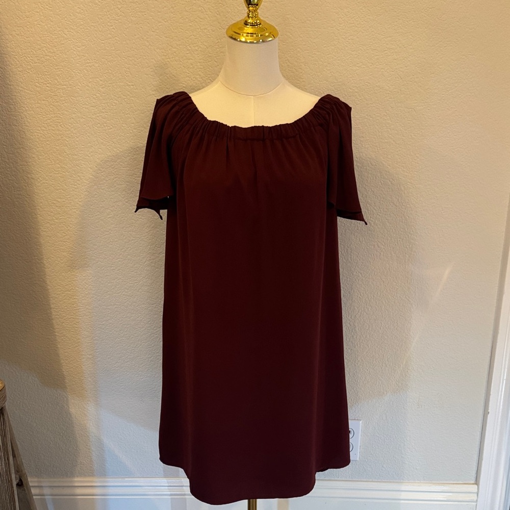 Naked Zebra Burgundy Mini Dress